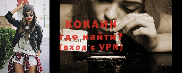 трава Гусиноозёрск