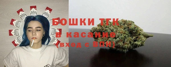 кристаллы Гусь-Хрустальный
