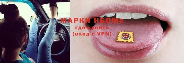 трава Гусиноозёрск