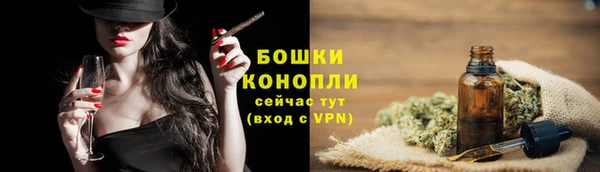 трава Гусиноозёрск