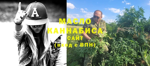 spice Гусев