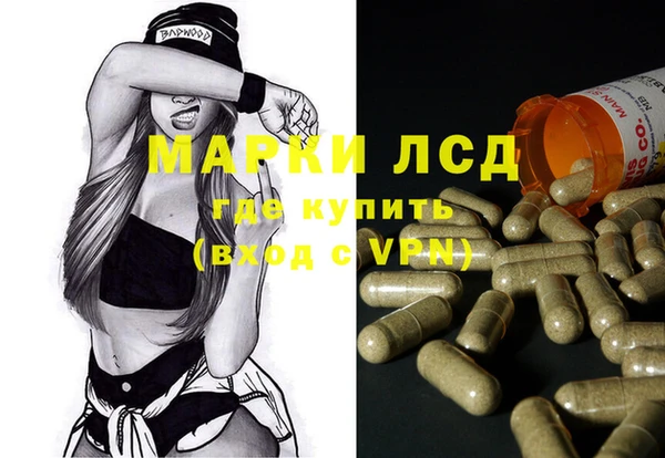 трава Гусиноозёрск