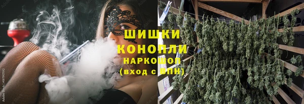 spice Гусев