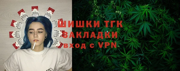 трава Гусиноозёрск